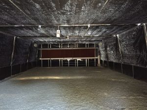 Inside of Greenhouse with Evaporative Cooling System